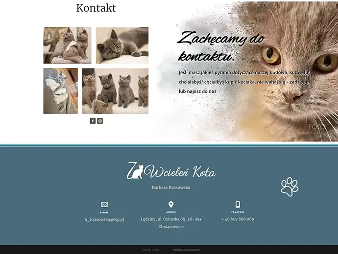 layout strony internetowej - 7 wcieleń kota - sekcja kontakt
