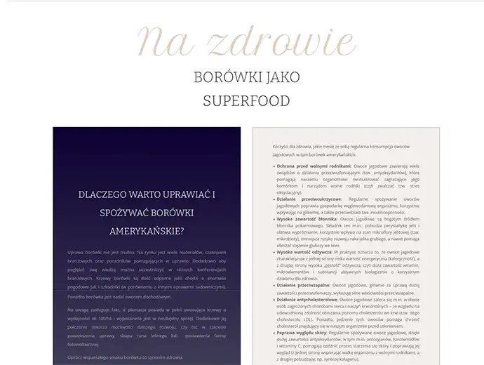 layout www borowkowysad.pl - sekcja samo zdrowie